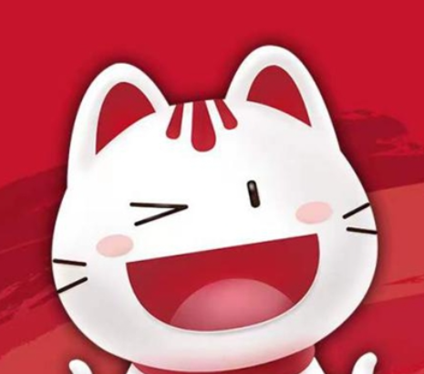 快喵加速器 Logo